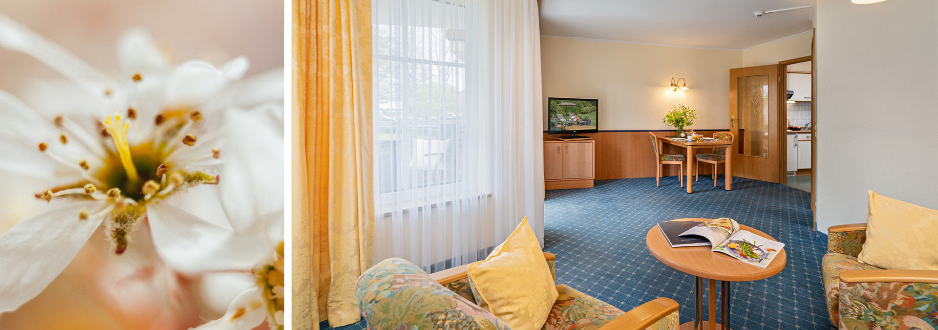 Hotel Riedenburg Suite
